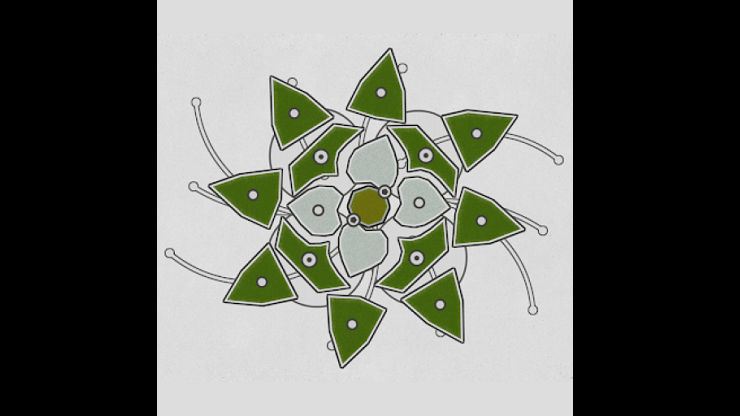 shape of the nature - a flower puzzle