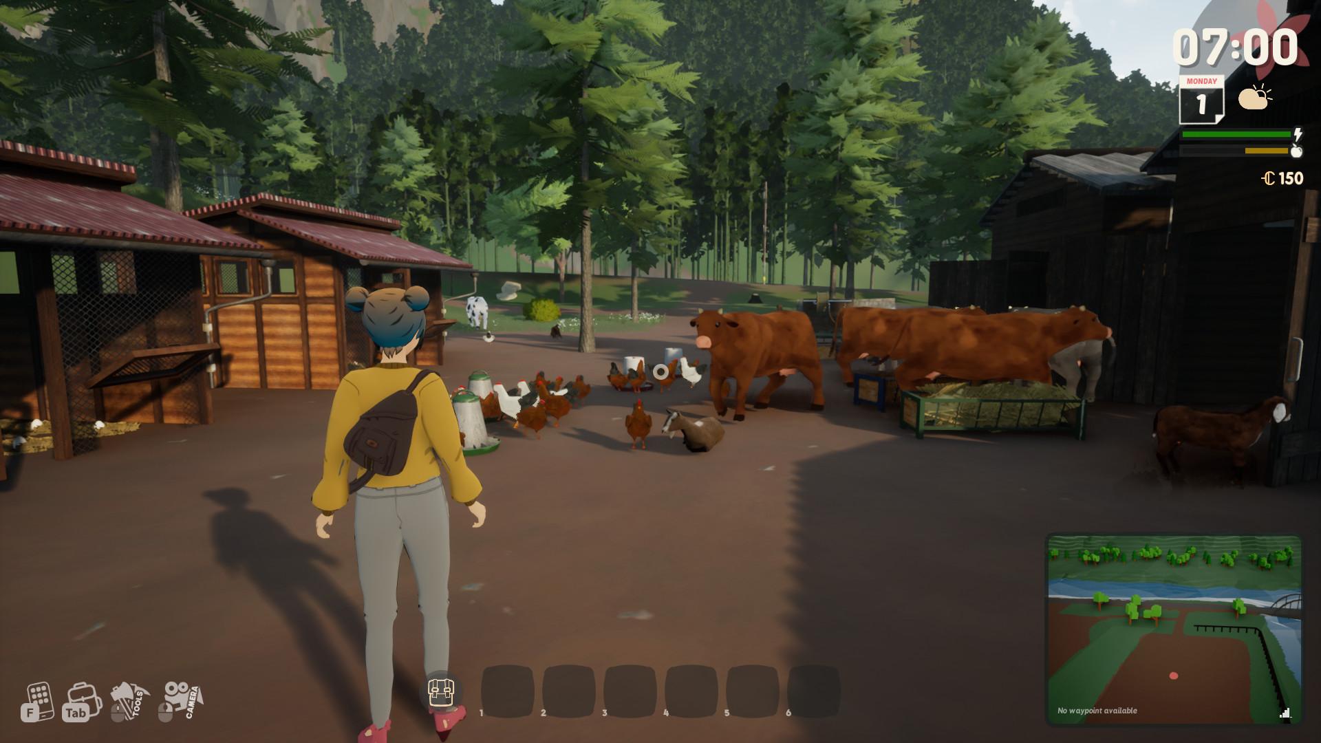 Sunny Side: una persona scruta un gruppo di mucche