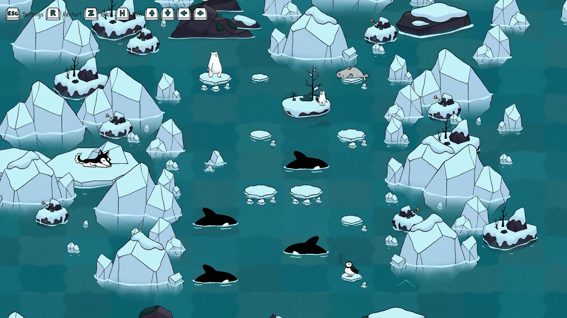 a polar bear sits on an ice floe with killer whales around it